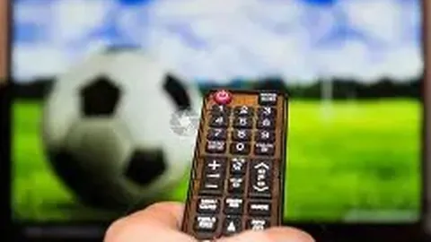 《弗兰克深情告别：心系浙地战旗，遗憾梦想之旅终暂停》