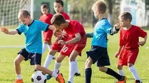 《齐达内揭秘：中国足球的蜕变之旅，进步之光照亮未来》